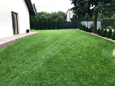 P.P.H.U. LEWAG JACEK SOŁTYSIK